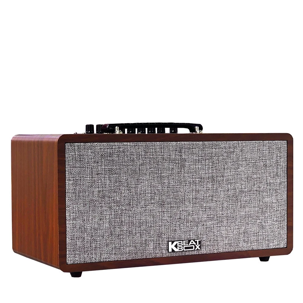 Loa Bluetooth Karaoke Acnos CS390