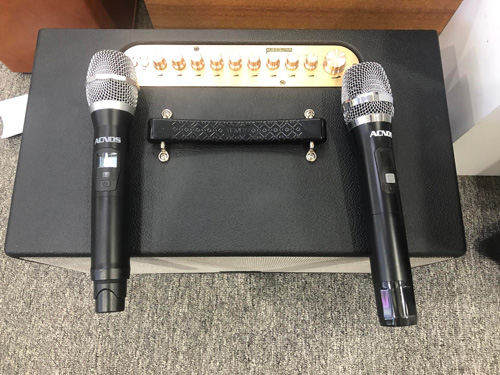 Loa Bluetooth Karaoke Acnos CS447