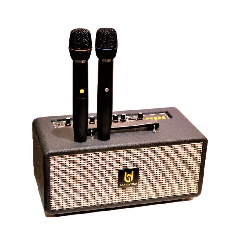 Loa Karaoke Best Sound M5